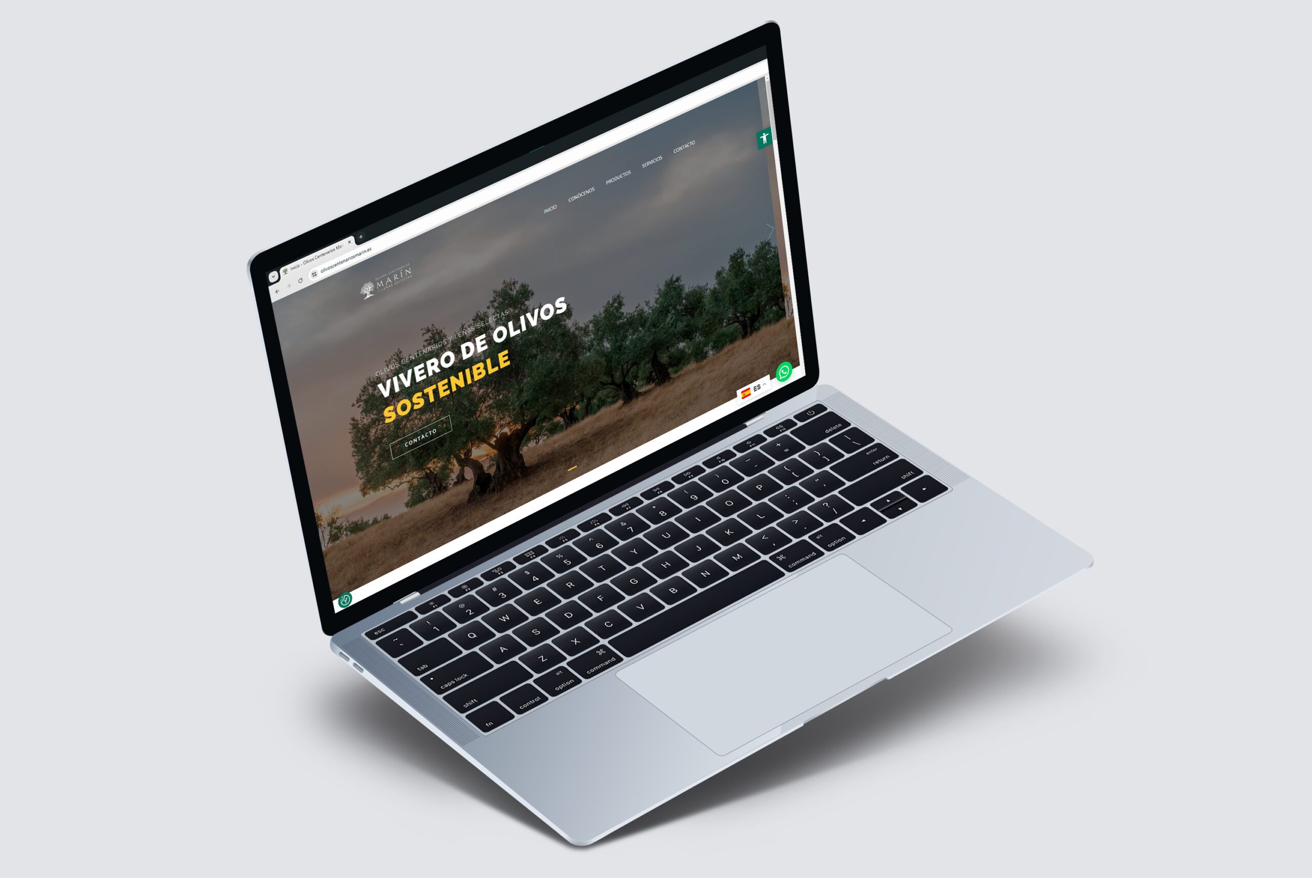 Mockup de un ordenador portatil con la web del proyecto del vivero de olivos