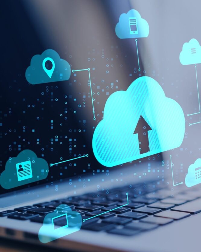 Renovación hosting web